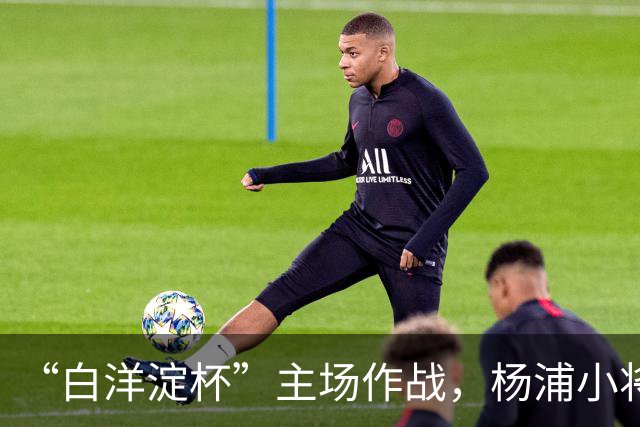 “白洋淀杯”主场作战，杨浦小将超额完成“争四”目标